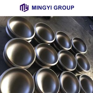 Circle Head 24 Inch Carbon Steel Pipe Head Tank Bottom End for Various