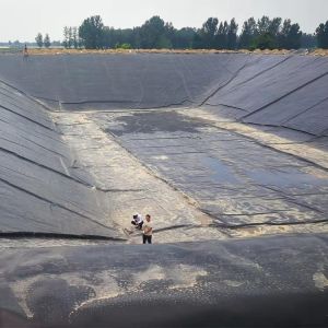 Buy cheap Density 0.940g/cm3 HDPE Liner Geomembrane for Smooth Fish Pond Shrimp Pond Liner 2mm from wholesalers