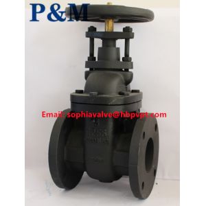 ANSI 125LB ASTM A126B cast iron gate valve