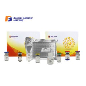 Buy cheap ISO Standard Human ELISA Kit ARHGEF1 Immunoassays Test Kit 2.79ng/L Sensitivity from wholesalers