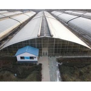 Transform Your Farming Experience with Tomato Cucumber Strawberry Hydroponics