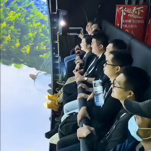 Buy cheap Ball Screen Audiovisual Impact High Speed Challenge Stimulus Vr Cinema from wholesalers