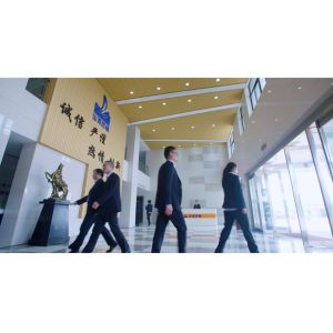 Buy cheap ISO Certified Sodium Starch Glycolate CAS 9063-38-1 US 1/kg Samples and Certified from wholesalers