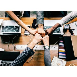 Langfang pangolin construction machinery co. LTD