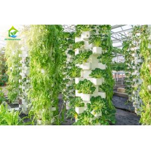 Buy cheap Soilless Cultivation NFT Hydroponic System For Celery Parsley from wholesalers