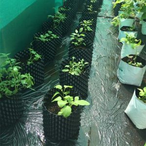 New Design Air Flower Planter Pots Disposable pruning Root Pot