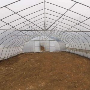 Buy cheap Gothic High Tunnel Vegetable Film Hydroponics Single-Span Greenhouse Construction from wholesalers