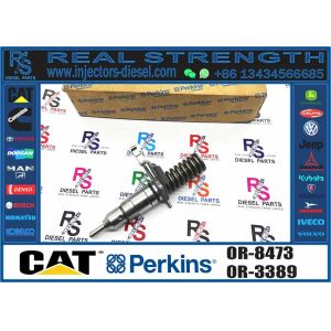 Excavator Parts 3116 Engine Injector 0R-8483 0R-3002 0R-8477 0R-3190 0R-8473 4P