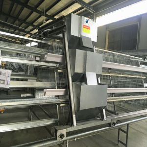 Buy cheap 430x450x410mm 3 Tier Layer Cage , Soncap Layer Farming Equipment from wholesalers