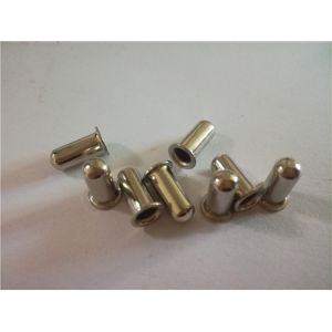 Precision Hollow Rivet – Durable, Smooth Finish, Reliable Fastening, Custom