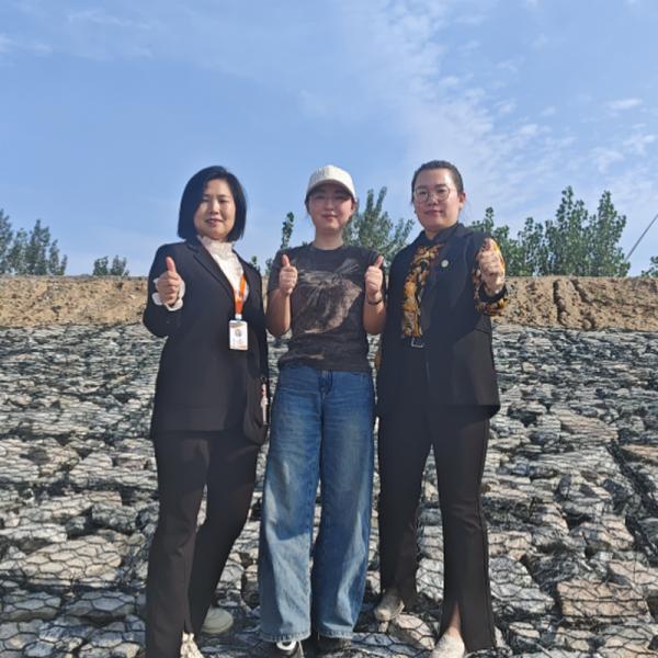 Eco-Friendly Mesh Gabion Stone Wall Galvanized Steel Wire Basket For Landscaping