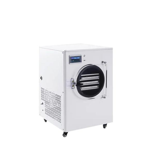 Quality Hot Selling Mini Home Freeze Dryer With Low Price for sale