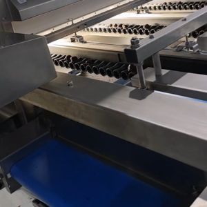 Buy cheap High-capacity Dates Sorting Machine With Industrial Camera, 8 lanes+10 outlets, Advanced Deep-learning, 2.6 Tons per hour from wholesalers