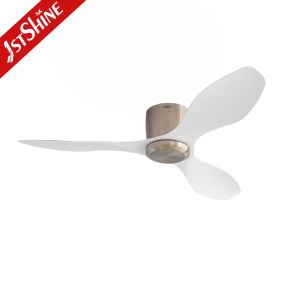 Modern 48'' Plastic Blades Ceiling Fan DC Motor Dual-Function Model with