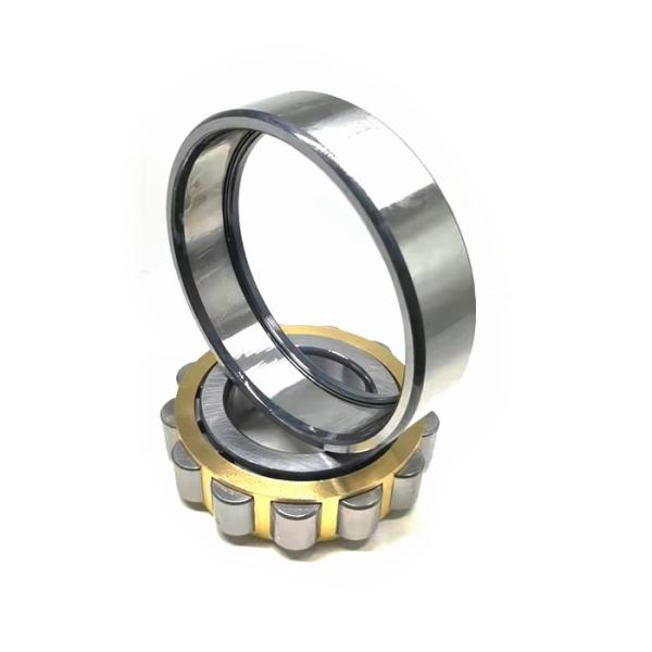 Quality NF311EM Cylindrical Roller Bearing Size 55*120*29mm for sale