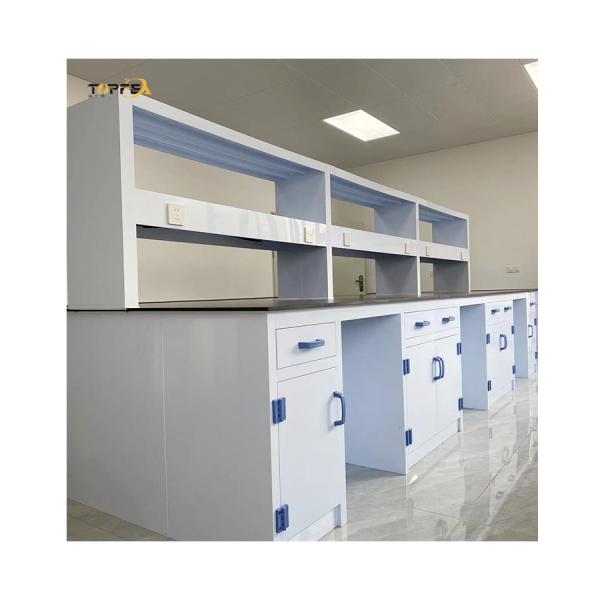 Cabinet Customized Polypropylene Lab Bench Durable High Performance