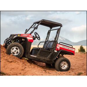 Max Power 12kW and Fuel Tank Capacity 10-20L Directly Sells 250cc Farm Buggy