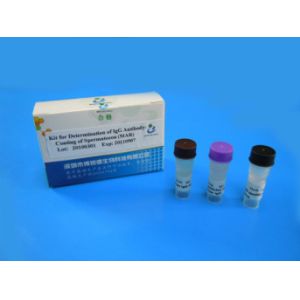 SpermFunc Male Fertility Test Kit For Determination IgG Antibody Coating