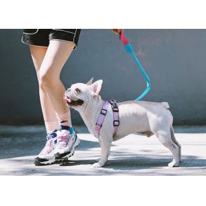 Soft Neoprene Padded Puppy Dog Walking Training Harness Stop Pulling X Type