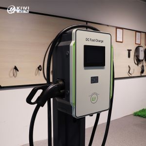30kW Fast SmartDC EV Charger with 50Hz±10Hz Grid Frequency and Leakage