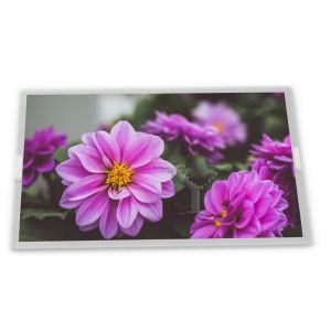 Buy cheap 5.6-Inch HV056WX1-100 WLED TFT LCD Display Module 1280*800 Resolution ODM Supplier LCD Modules from wholesalers