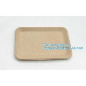 Biodegradable & Compostable 8 inchSquare sugarcane trays,sugarcane pulp