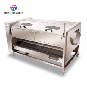 Buy cheap Ginger Potato Carrot Taro Sweet potato Yam Saiko persimmon papaya horseshoe Sealed Cover Type Peeling Machine Wash Washer Washing Cleaning from wholesalers