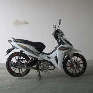 Buy cheap 6.5KW Front Disc Brake TR135-NG Cub Motorcycle from wholesalers