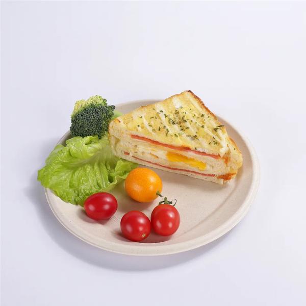 Buy cheap Plant Starch PLA Compostable Disposable Tray Plate Biodegradable from wholesalers