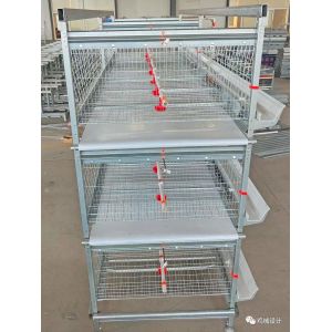 Buy cheap One Day Old Baby Chick Cage With Full Automatic System from wholesalers