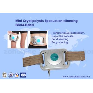 Buy cheap Cryolipolysis Freeze Fat Pads Machine from wholesalers