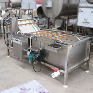 Buy cheap High presssur apple/orange/peach washer / fruit & vegetable processing washing machines/ from wholesalers
