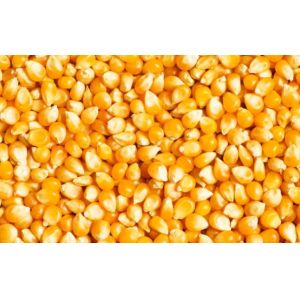 256 Channels Optical Color Sorter For Double Sorting