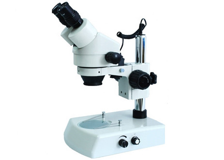 Buy cheap WF10X Student Binocular Stereo Microscope 7X 90X Bottom LED Light from wholesalers