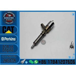 Buy cheap C6.6 Diesel Common Rail Fuel Injector 10R-7672 306-9380 2645A734 282-0490 2645A709 C6.6 E312D 313D 320D 321D from wholesalers