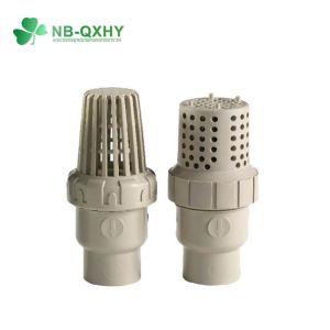 Buy cheap DDCV Double Lobe Function PPH Single Union Non Return Check Valve for Pipe System from wholesalers
