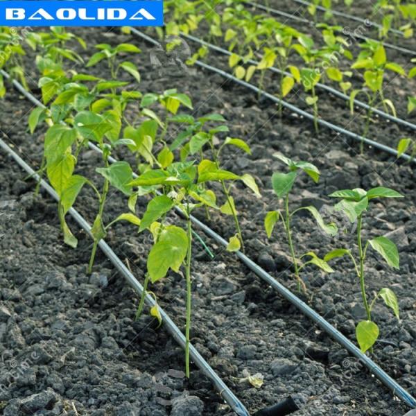Quality Agricultural Greenhouse Irrigation System / Greenhouse Boom Irrigation Systems for sale