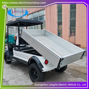 Buy cheap 48V AC Motor Electric 2 Seater Golf Buggy Battery Operated CE Cetification for Park from wholesalers