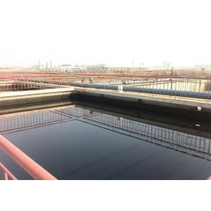 Spices Powder Pickled Sushi Wasabi Paste Tube Sour Taste