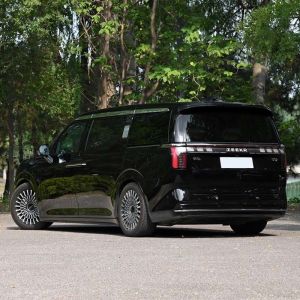 Buy cheap RWD Geely Zeekr 009 We Awd Super Electric MPV Car Customization and Customized Request from wholesalers