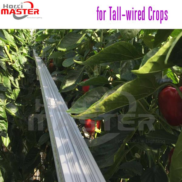 Buy cheap Anodizing LED Grow Lights Greenhouse 60Hz 3D Inter Lighting Lamp For Indoor Plants from wholesalers