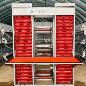 Buy cheap Layer Chicken Poultry Cage Cold Galvanized Steel Wire Mesh from wholesalers