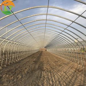 Buy cheap General Storage Greenhouse Skeleton for Small-Scale Mushroom and Vegetable Farming from wholesalers
