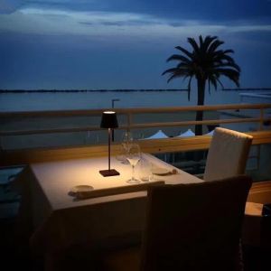 Buy cheap Poldina PRO Rechargeable LED Table Lamp bedroom (WH-MTB-159) from wholesalers