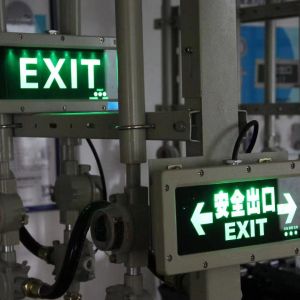 Buy cheap Factory Direct LED Exit Sign Explosion Proof Emergency Lights Mounted On Wall Customized Pictogram Available from wholesalers
