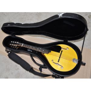 Buy cheap Factory custom Handmade custom advanced 8 strings mandolin electric guitar with ebony fretboard from wholesalers