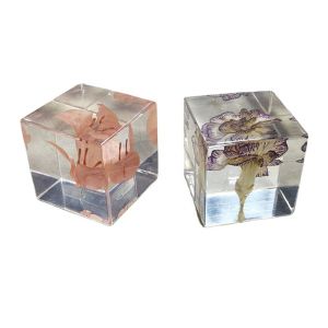 Buy cheap Cubic Flower Paperweight With Dandelion Inside Embed Processing from wholesalers