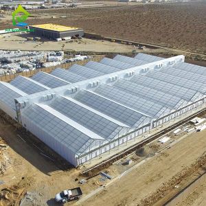 Buy cheap Automated Commercial Light Deprivation Greenhouse with Interior Blackout 32m-50m Length and 8m-12.6m Span Width from wholesalers
