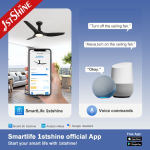 2700K 3000K 5000K Acrylic Plastic Ceiling Fan Modern Easy Clean