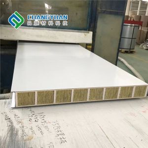 China Modern Cleanroom Wall Panel Fire Proof Pu Foam Sandwich Panel on sale
